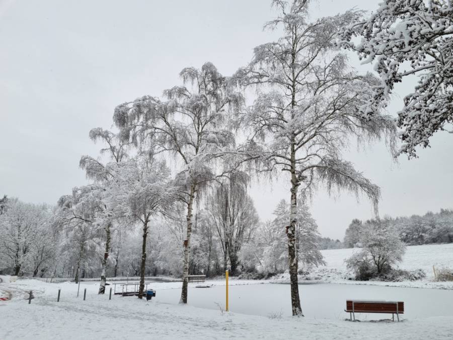 weiher3_4_jan2023.jpg